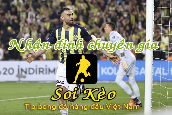 Soi Kèo Austria Vienna - Fenerbahce