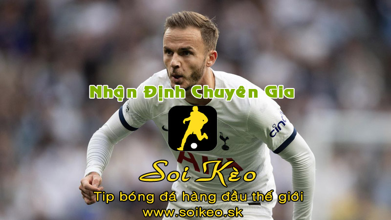 Soi Kèo tip bóng đá Luton Town - Tottenham