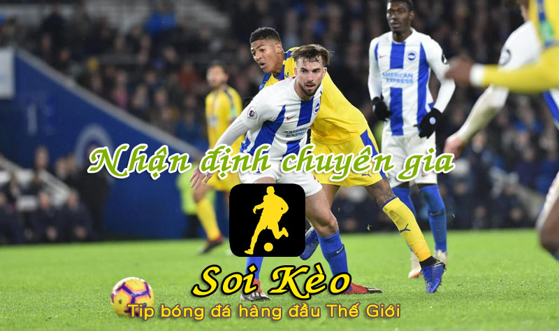 Soi Kèo Brighton - Crystal Palace