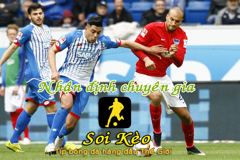 Soi Kèo Hoffenheim - Hertha Berlin