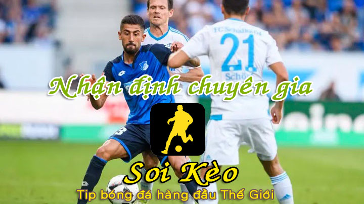 Soi Kèo Hoffenheim - Schalke