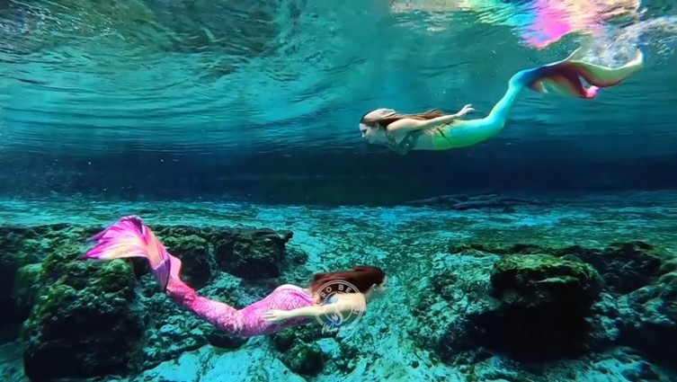 Xem các nàng tiên cá biểu diễn ngoạn mục