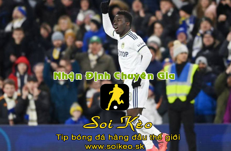 Soi Kèo tip bóng đá Leeds - Cardiff