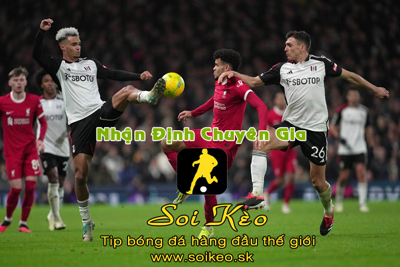 Soi Kèo tip bóng đá Fulham - Newcastle