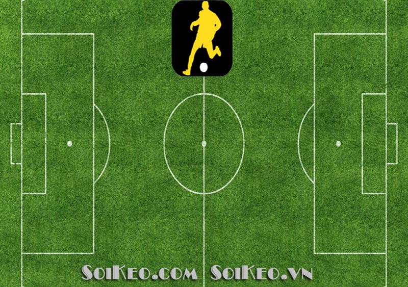 Cách Nhận Định Bóng Đá: Hướng Dẫn Cơ Bản