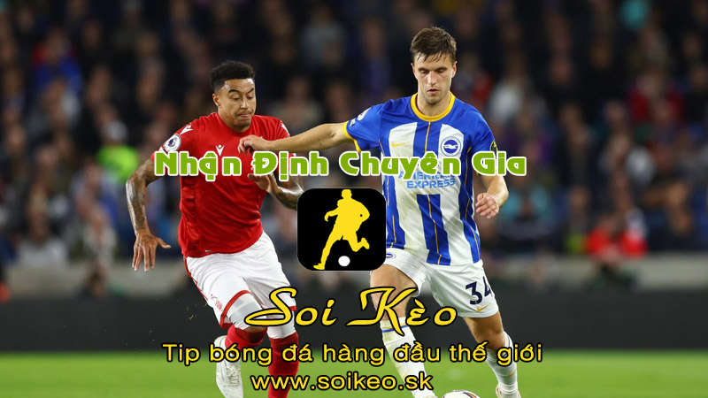 Soi Kèo tip bóng đá Brighton - Nottingham